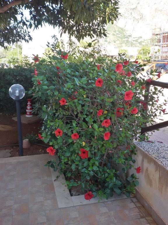 Appartamento Con Giardino - Wifi San Vito Lo Capo