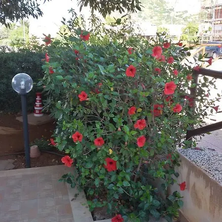 Appartamento Con Giardino - Wifi San Vito Lo Capo Exterior photo